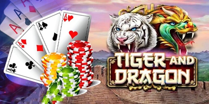 Nguyên nhân nên tham gia Rồng Hổ tại i9bet